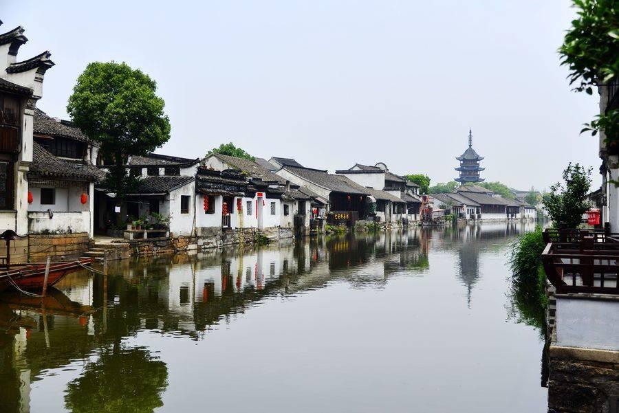 御龙在天